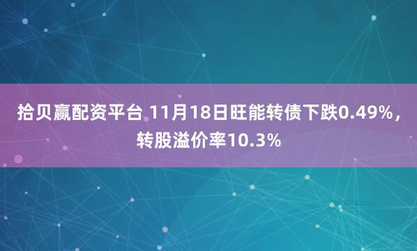 拾贝赢配资平台 11月18日旺能转债下跌0.49%，转股溢价率10.3%