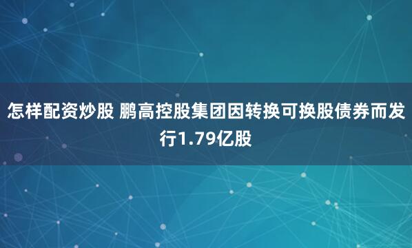 怎样配资炒股 鹏高控股集团因转换可换股债券而发行1.79亿股