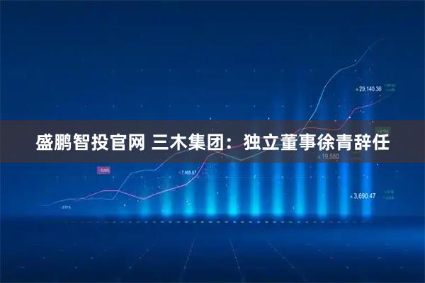盛鹏智投官网 三木集团：独立董事徐青辞任